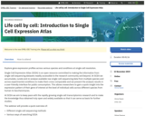 Life cell by cell: Introduction to Single Cell Expression Atlas