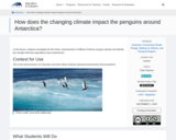 How does the changing climate impact the penguins around Antarctica?