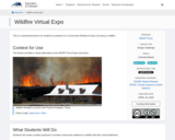 Wildfire Virtual Expo