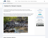 Habitat for Stream Insects