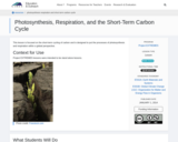 Photosynthesis, Respiration, and the Short-Term Carbon Cycle