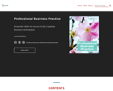 Professional Business Practice
