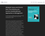 Whiplash Injury and Chronic Pain: The Anatomy and Current Interdisciplinary Approaches to Management