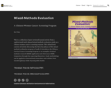 Mixed-Methods Evaluation