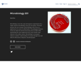 Microbiology 201