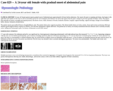 Pathology Case Study: A 24-year old female with gradual onset of abdomen pain