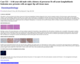 Pathology Case Study: A 66-year-old male with a history of precursor B-cell acute lymphoblastic leukemia now presents with an upper lip soft tissue mass