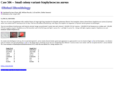 Pathology Case Study: Small colony variant-