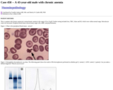 Pathology Case Study: 43-year-old male with chronic anemia