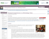 Research Experiences in a Mineralogy Class