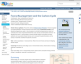 Forest Management and the Carbon Cycle