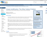 Ocean Acidification: The Other Carbon Problem