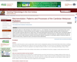 Macroevolution: Patterns and Processes of the Cambrian Metazoan Radiation