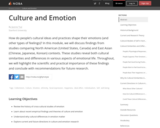 Culture and Emotion