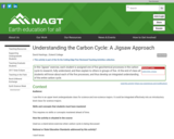 Understanding the Carbon Cycle: A Jigsaw Approach