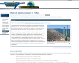 Role of Sedimentation in Rifting