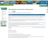 Microplastics and marine environment