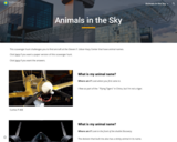 Animals in the Sky - Scavenger Hunt (Digital)