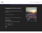 Engaging the Online Learner