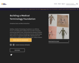 Building a Medical Terminology Foundation