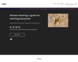 Remote teaching: a guide for teaching assistants