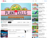 Plant Cells: Crash Course Biology #6