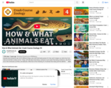 How & What Animals Eat: Crash Course Zoology #4