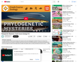 Phylogenetic Mysteries: Crash Course Zoology #12