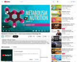 Metabolism & Nutrition, Part 1: Crash Course Anatomy & Physiology #36