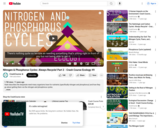 Nitrogen & Phosphorus Cycles: Always Recycle! Part 2 - Crash Course Ecology #9