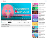 Parasympathetic Nervous System: Crash Course Anatomy & Physiology #15