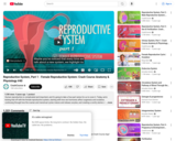 Reproductive System, Part 1 - Female Reproductive System: Crash Course Anatomy & Physiology #40