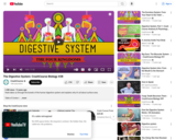 The Digestive System: CrashCourse Biology #28