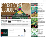 Ecosystem Ecology: Links in the Chain - Crash Course Ecology #7