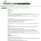 Leaf Investigation and Classification