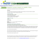 Negative Human Impact on Wildlife: Birds