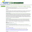 Eagles in the Ecosystem Classroom Jigsaw Activity