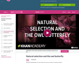 Natural selection and the owl butterfly