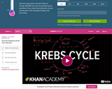 Biology: Krebs / Citric Acid Cycle