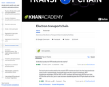Biology: Electron Transport Chain