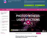 Biology: Photosynthesis: Light Reactions 1
