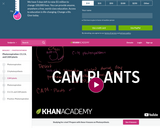 Biology: CAM Plants