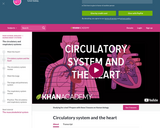 Circulatory system and the heart