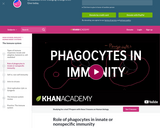 Biology: Role of Phagocytes in Innate or Nonspecific Immunity