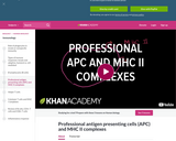 Biology: Professional Antigen Presenting Cells (APC) and MHC II Complexes