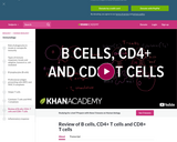 Biology: Review of B Cells,  CD4+ T Cells and CD8+ T Cells