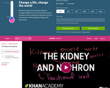 Biology: The Kidney and Nephron