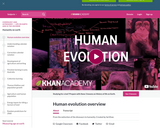 Human evolution overview