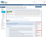 Sediments and the Global Carbon Cycle