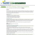 The Flow of Energy:  Balancing Ecosystems